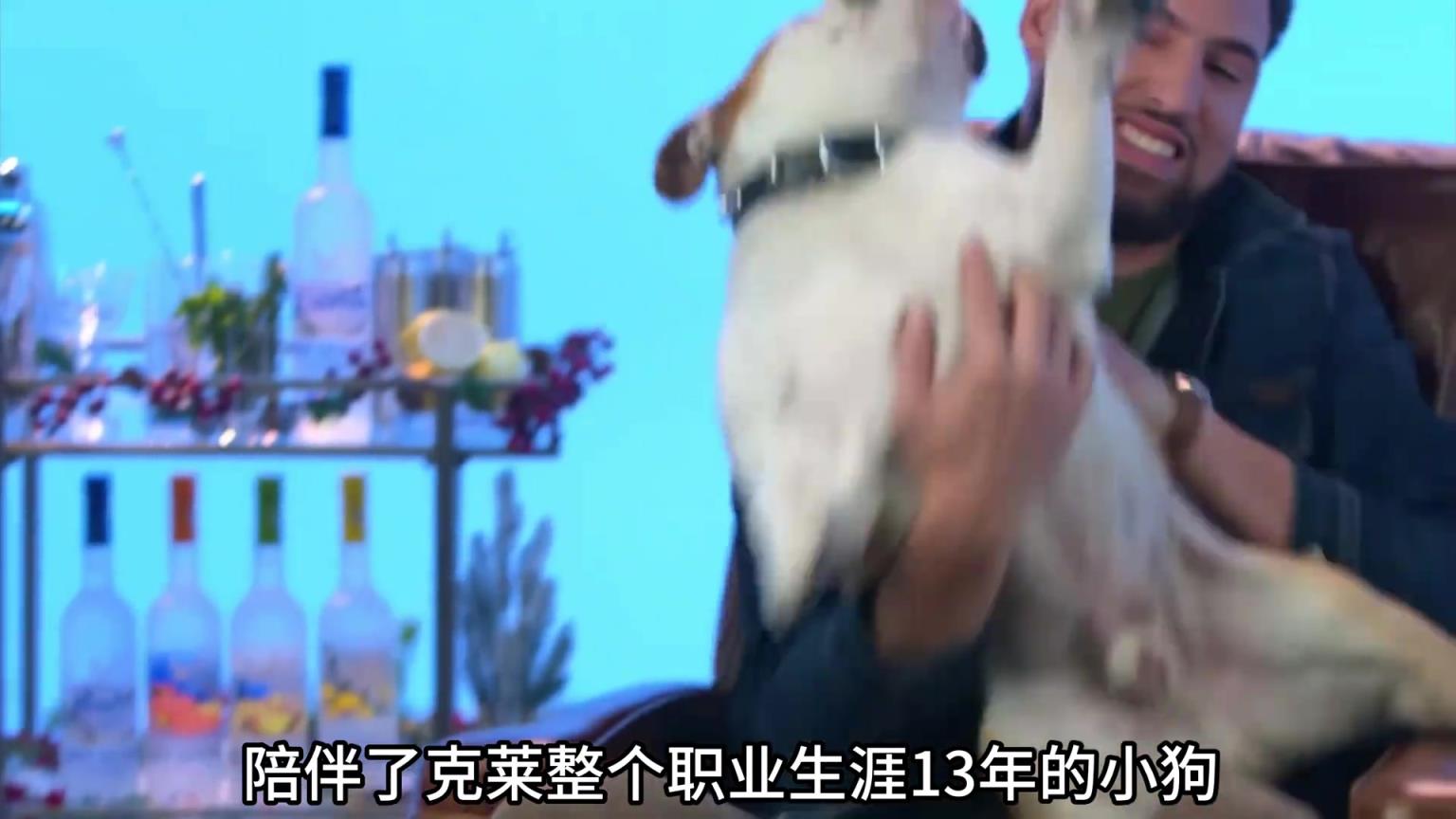 陪伴克萊13年的小狗去世了,不敢相信克萊得多么傷心